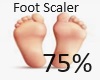 75% Feet Scaler