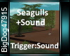 [BD]Seagulls+Sound