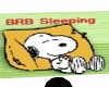 Oto's BRB sleeping HS