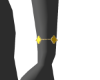 3 VanCf Yellow 1 L