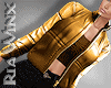 Gold Puff Coat + Top