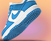 Dunks Blue-White