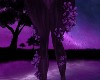 Violet Leg Roses V2