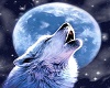 Howling Wolve