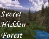 (S)Secret Hidden Forest