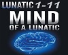 Mind Of A Lunatic