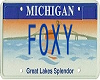Foxy Licence Plate