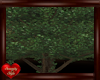 T♥ Green Shade Tree 2