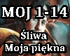 Sliwa -  Moja Piekna