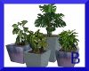 Set of 4 Potted Plants