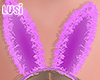 ♥ Bunny Ears Purple
