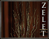 |LZ|Regal Plant