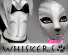 Whiskers :Tabby V2 Fur F
