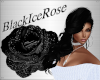 [BIR]Hair Cassy *Black