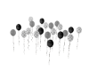 CC Balloons