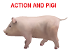 Action pig