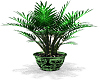 frog plant vase 2