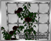 [BG]Red Rose Fence-Anim.