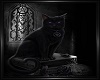 Black Cat Picture #2