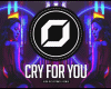 " Cry For You " Remix