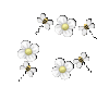 Floating Flowers/Bees