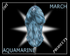 AquamarineFurkini(F)
