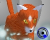 Foxxie Kitty - Red
