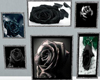 Black Rose wall art