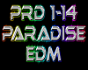 PARADISE rmx