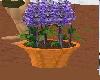 vibrent purple plant