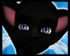 Black Cat Tail [M/F]