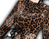 leopard ★彡