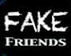 A~ Fake Friends room