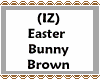 (IZ) Easter Bunny Brown
