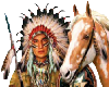 Indian & Horse