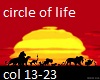 circle of life 2-2