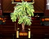 Ts Potted Royal Palm