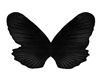 Dark Butterfly Top