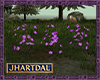 JL Wild Violets