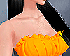 Orange Top B
