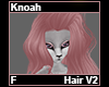 Knoah Hair F V2