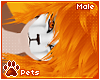 [Pets] Saber | hair v4