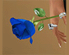 Blue Rose in Hand (F)