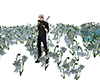 flower field