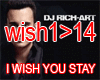 I Wish You Stay Mix