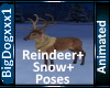 [BD]Reindeer+Snow+Poses