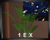 1EX Darling Plant
