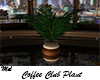 Coffee Club Plant