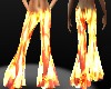 *Sexy Sheer Fire Pants
