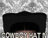 Jm Cowboy Hat IV